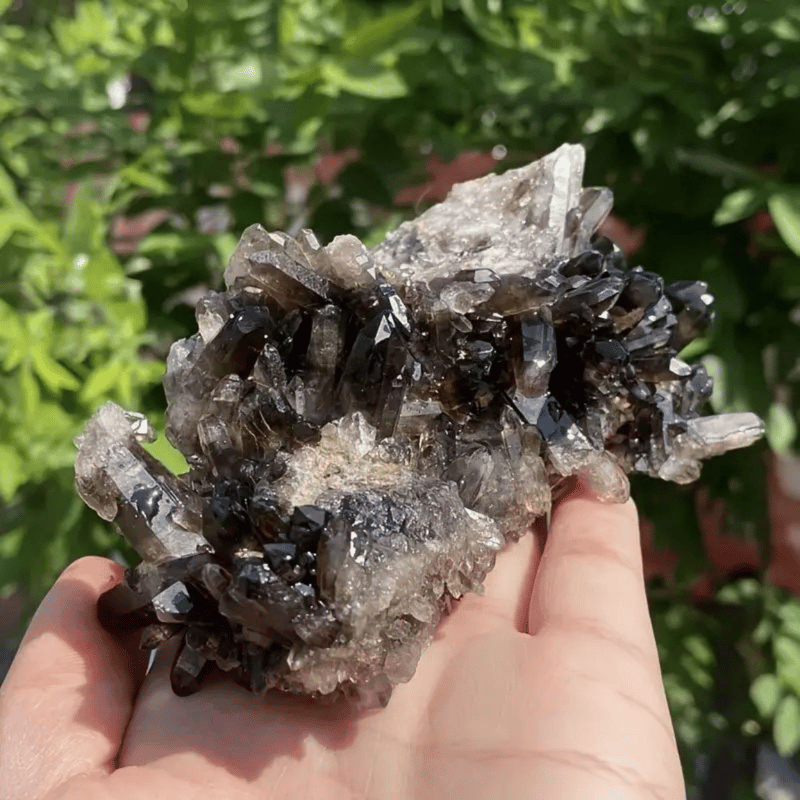 Smoky Quartz Crystal Cluster_4