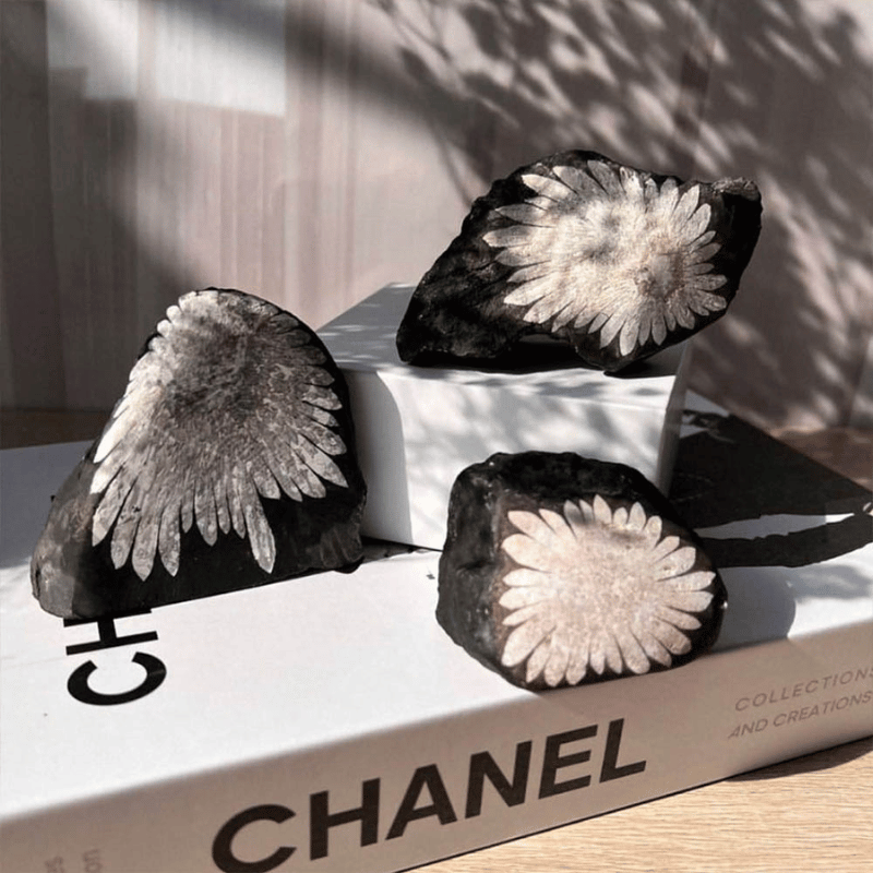 Chrysanthemum Flower Stone_style