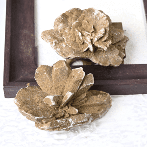 Raw Desert Rose Crystal Natural Gypsum Formation