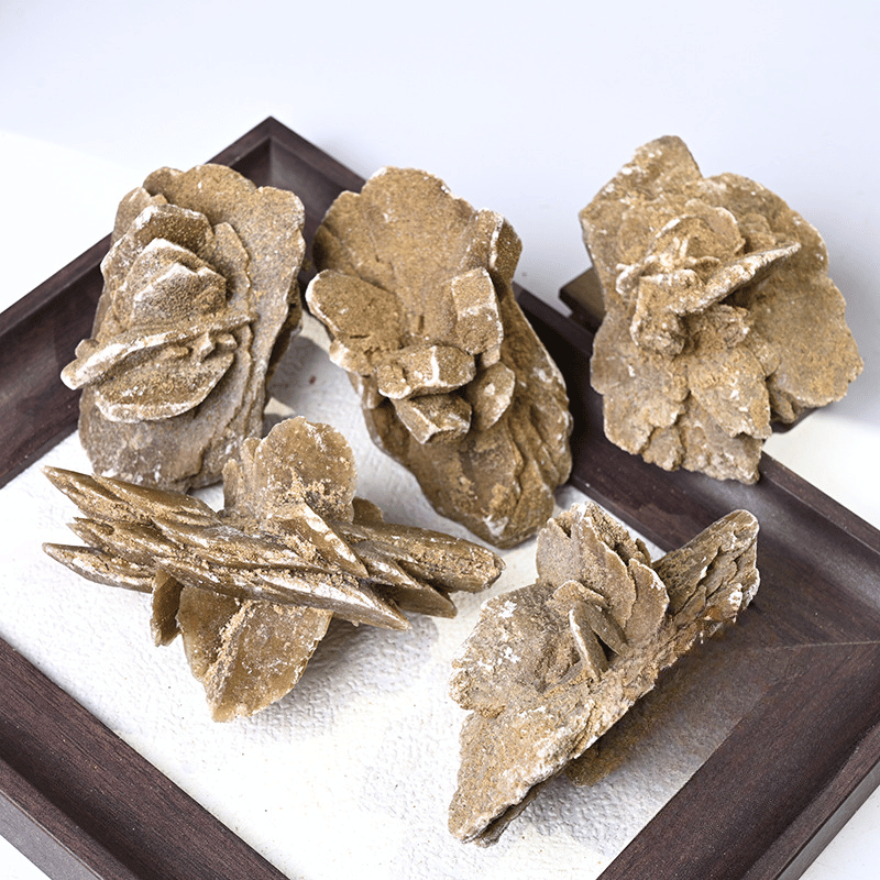 aw Desert Rose Gypsum Crystal Close-Up